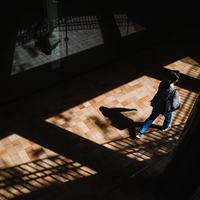 Shadows in Japan