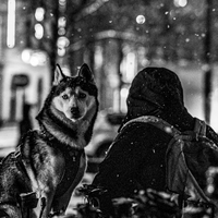 Streets of Oslo in rain and snow