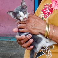 Finding Planet Bekasi: People of Jatimulya 