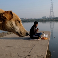 Life on the riverside