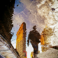 Puddle Scapes