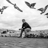 The pigeons of Kyrenia, Cyprus