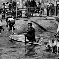 New York City Kids, 1971 - 2023