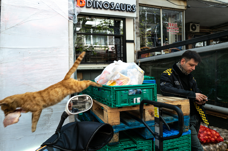 streets of Istanbul