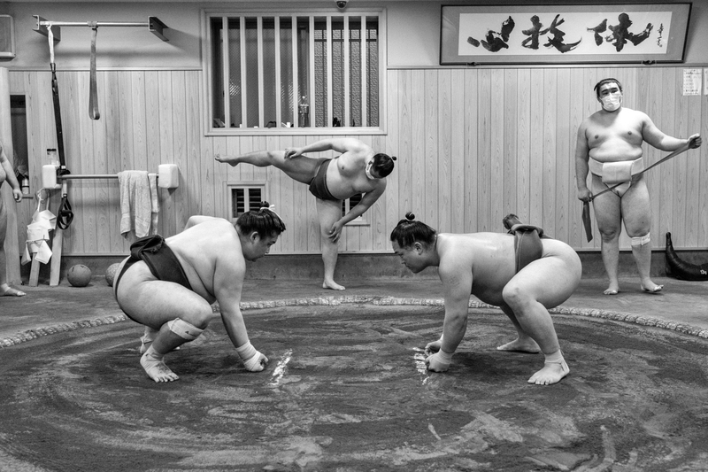 Sumo