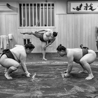 Sumo