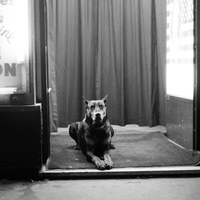 Paris au cours du temps - Photographies de rue 