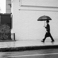 Rainy Day in Brooklyn