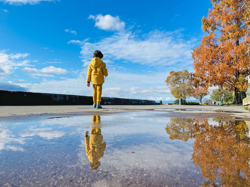 Rain puddle reflection