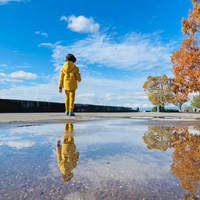 Rain puddle reflection