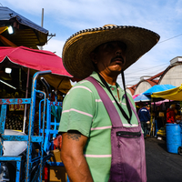 a day at the market