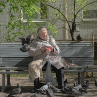 The old woman is feeding the birds