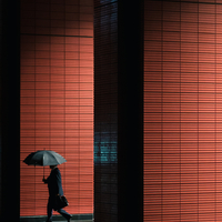 Red in the city.