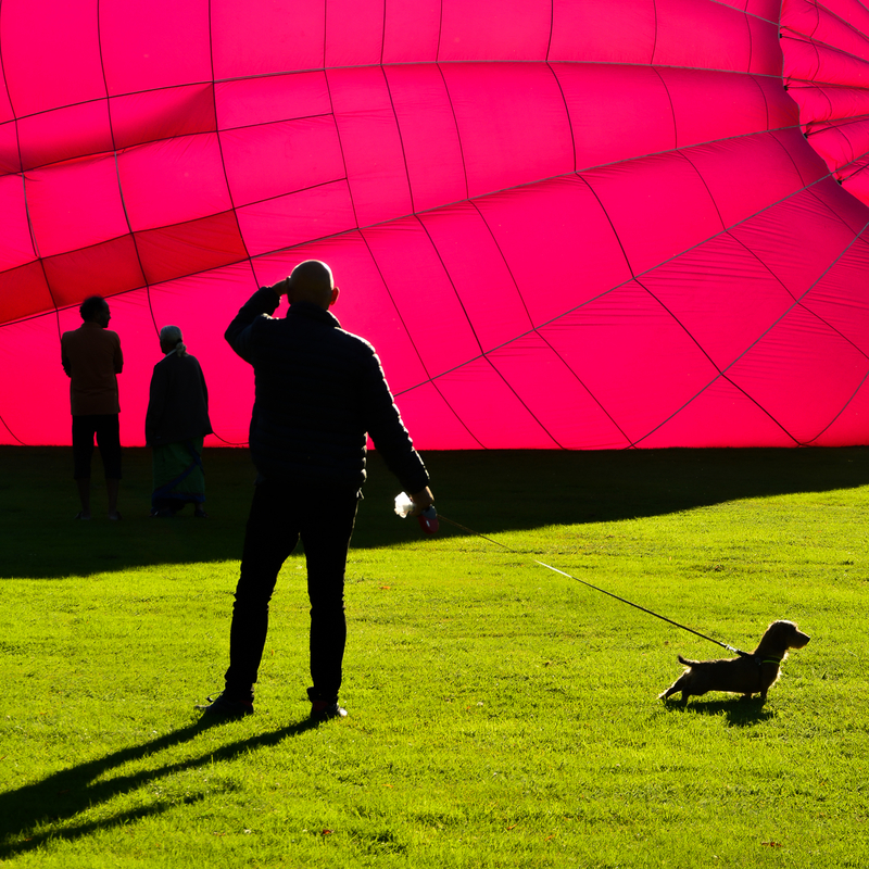 HotAir Balloon