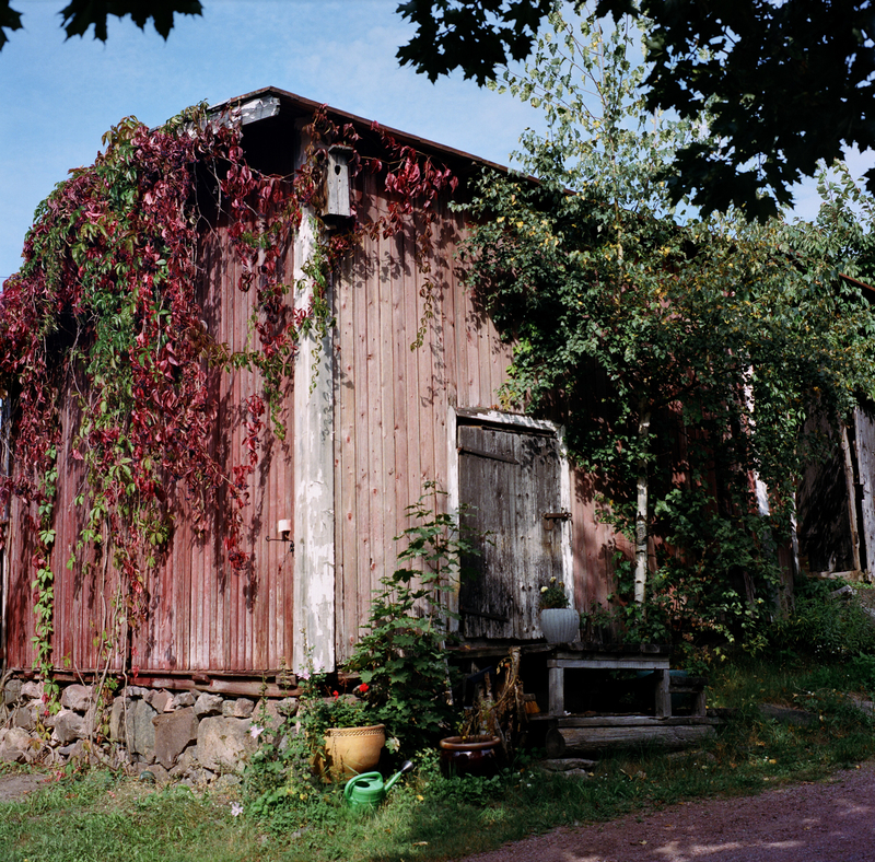 Backyards