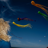 Kites & Fun