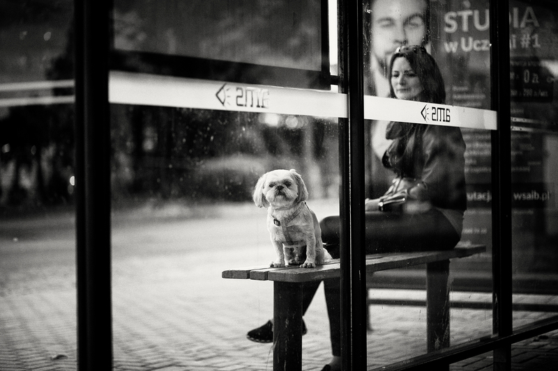 At the bus stop