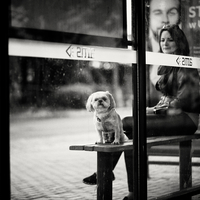 At the bus stop