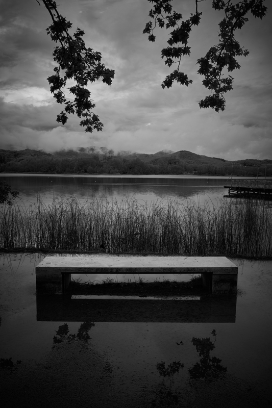 The lake bench