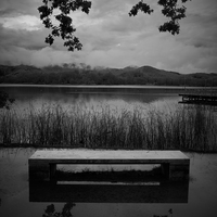 The lake bench