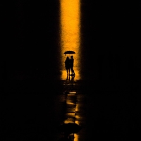 Story in a Silhouette