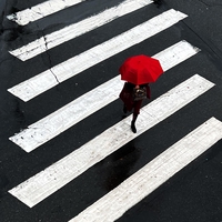 Pedestrian Crossing