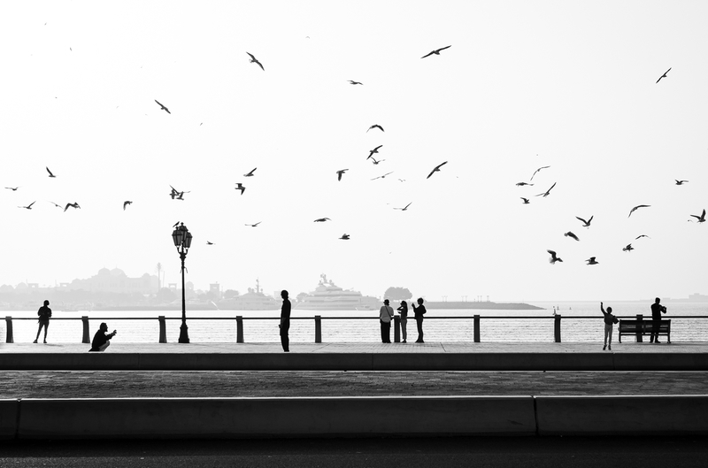 Silhouettes by the Sea