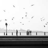 Silhouettes by the Sea