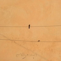 Le long des murs à Marrakech 