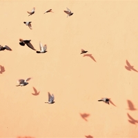 Le long des murs à Marrakech 