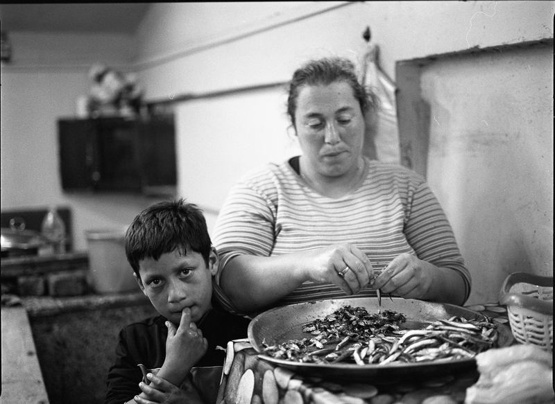 Fish Bazaar 