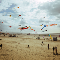13 - Berck - 2024