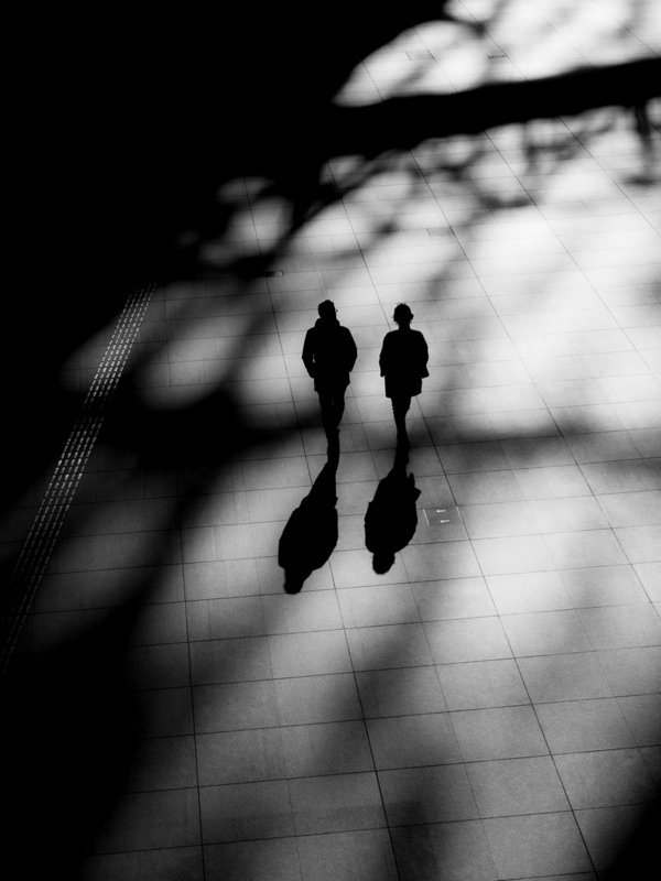 The shape of shadows.
