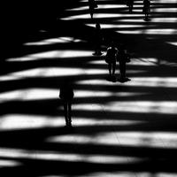 The shape of shadows.