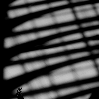 The shape of shadows.