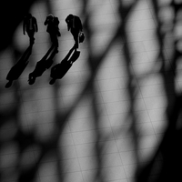 The shape of shadows.