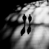 The shape of shadows.
