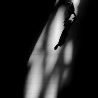 The shape of shadows.