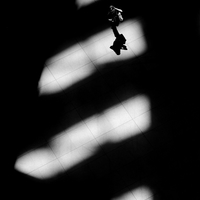 The shape of shadows.