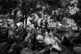 The Lady And Pigeons 