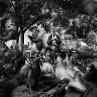 The Lady And Pigeons 