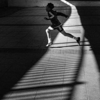 The Runner 