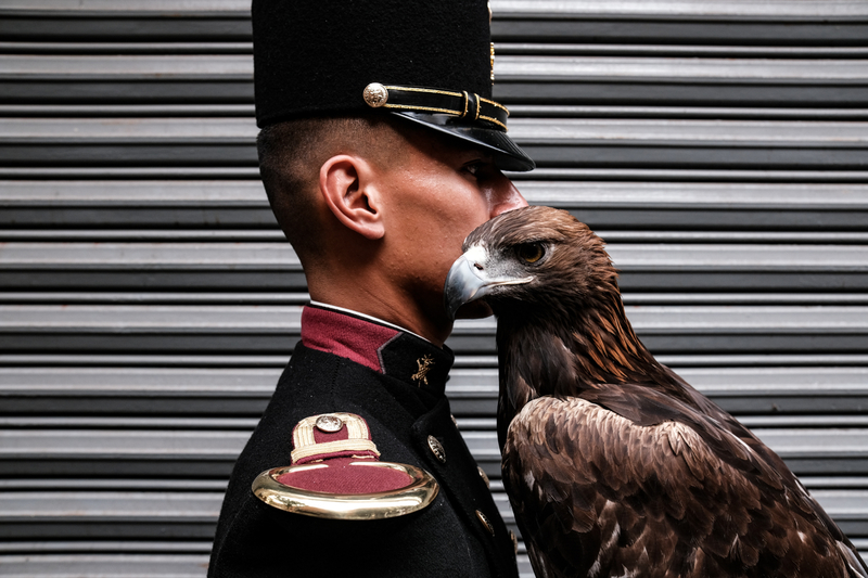 eagle eye