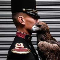 eagle eye