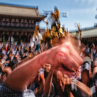 Asakusa festival