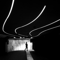 Leading lights