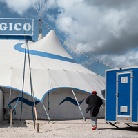 Magico