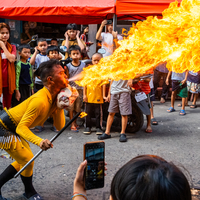 Fire Lady