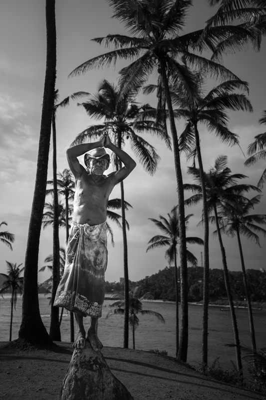 Guardian of the palms