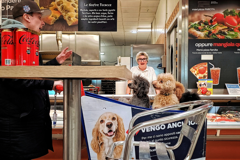 Pet shopping list